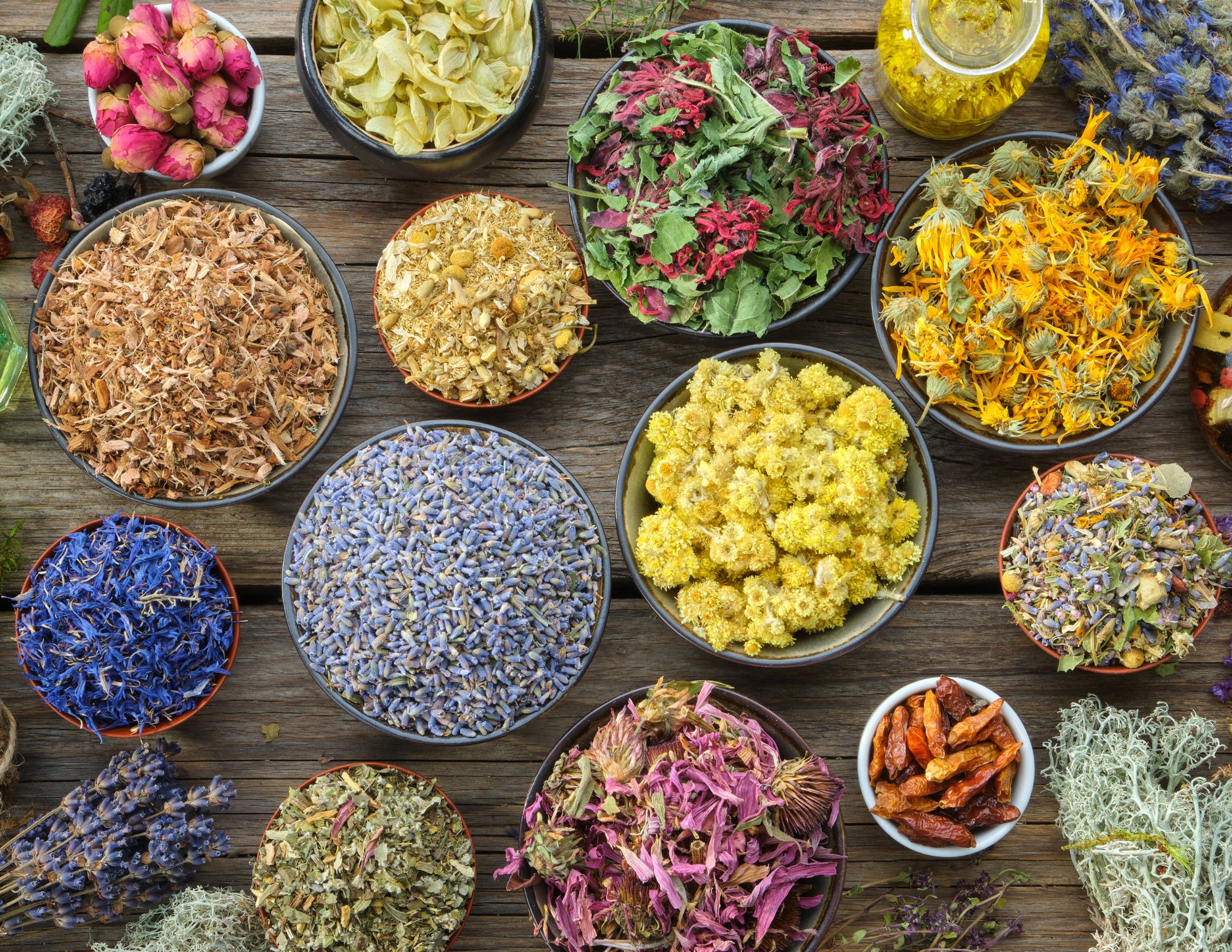 Divia Retreats – 8 Day Slimming & Beauty Luxury Ayurveda Retreat Divia Retreats - 8 Day Slimming & Beauty Luxury Ayurveda Retreat